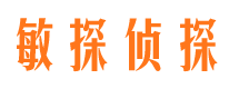 桐城出轨调查